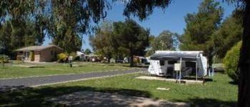 Fossicker Caravan Park Glen Innes Buitenkant foto