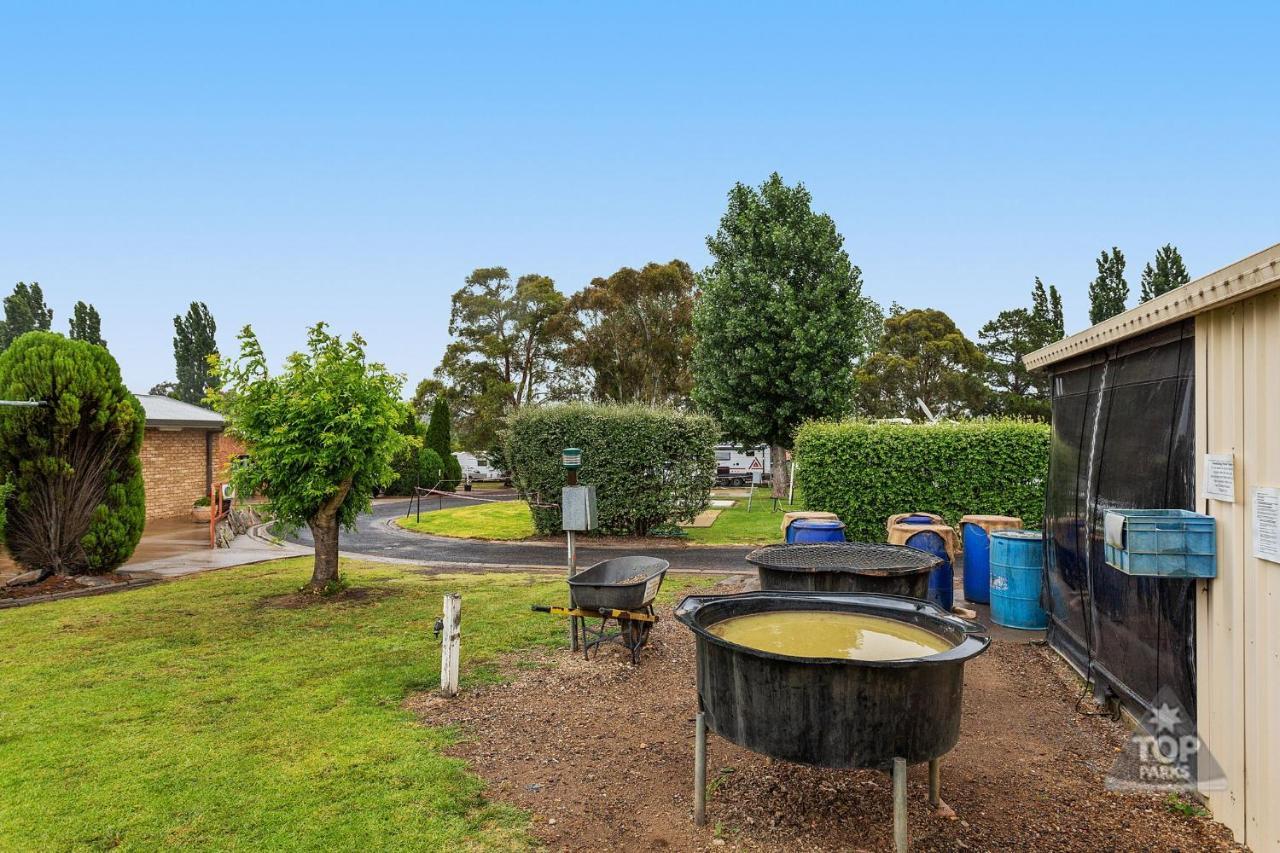 Fossicker Caravan Park Glen Innes Buitenkant foto